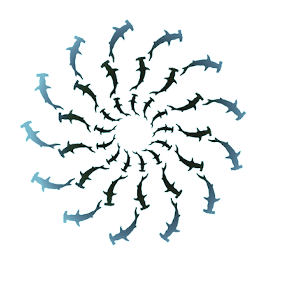 Hammer Head Productions